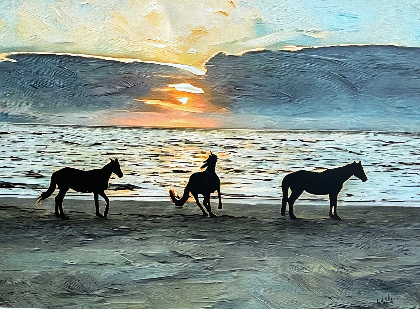 WILDHORSES ON THE COAST