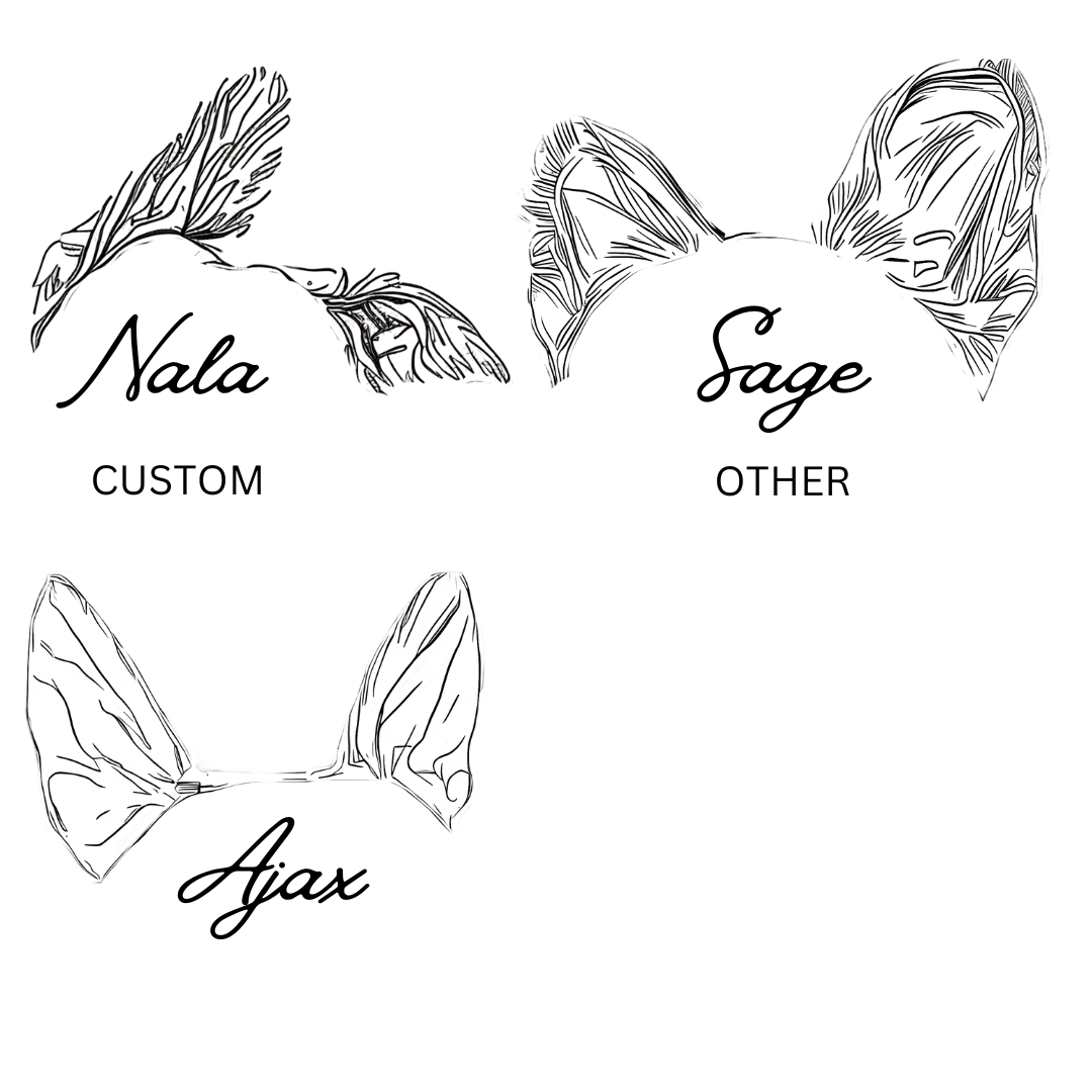 Dog ears baseball hat