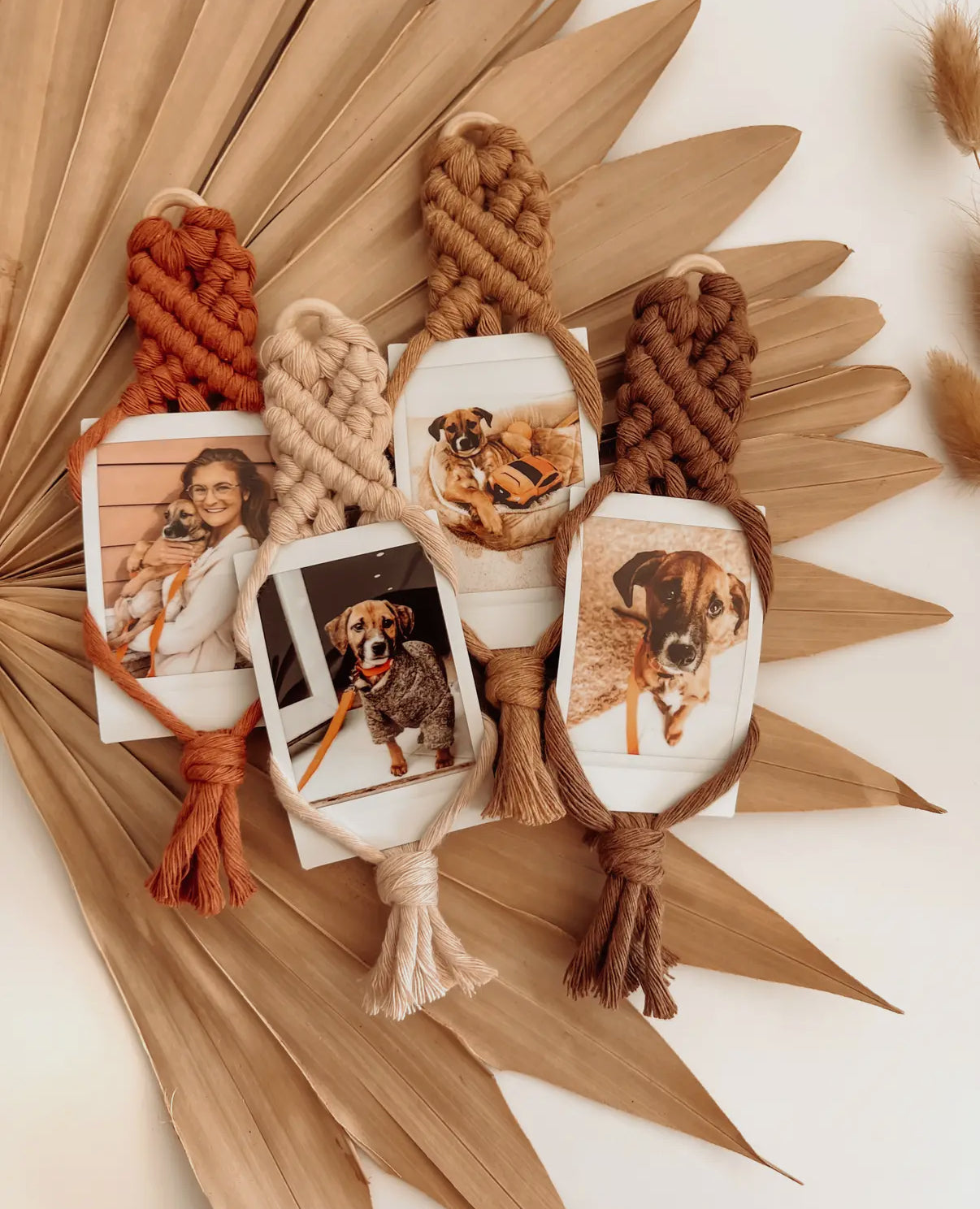 Buckaroo Spring Fling Bundle